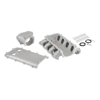 Holley EFI 300-717