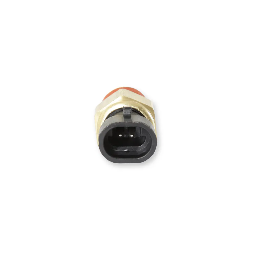 Holley EFI 534-10