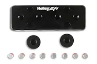 Holley EFI 534-52