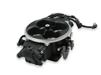 Holley EFI 534-304