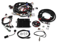 Holley EFI 550-607N