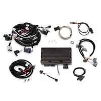 Holley EFI 550-905-5