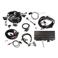 Holley EFI 550-917-B
