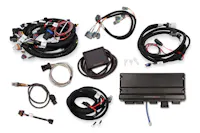 Holley EFI 550-919-1
