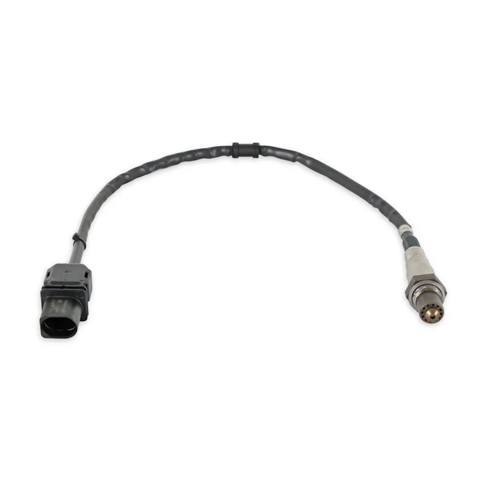 Holley EFI 554-155