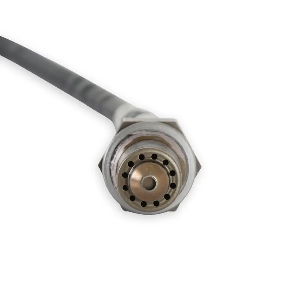 Holley EFI 554-155