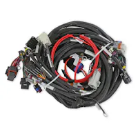 Holley EFI 558-134