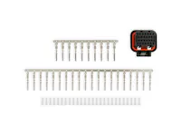 Holley EFI 570-347