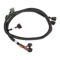 Holley EFI 558-220