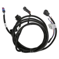 Holley EFI 558-482