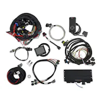 Holley EFI 550-917-6