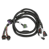 Holley EFI 558-221