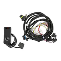 Holley EFI 558-499