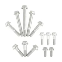Holley 97-263