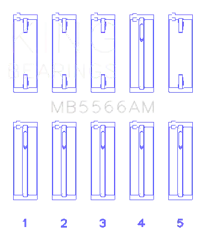 King Engine Bearings MB5566AM0.75