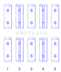 King Engine Bearings MB5569AM
