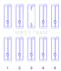 King Engine Bearings MB5579AM