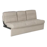 Lippert Components 2020129842