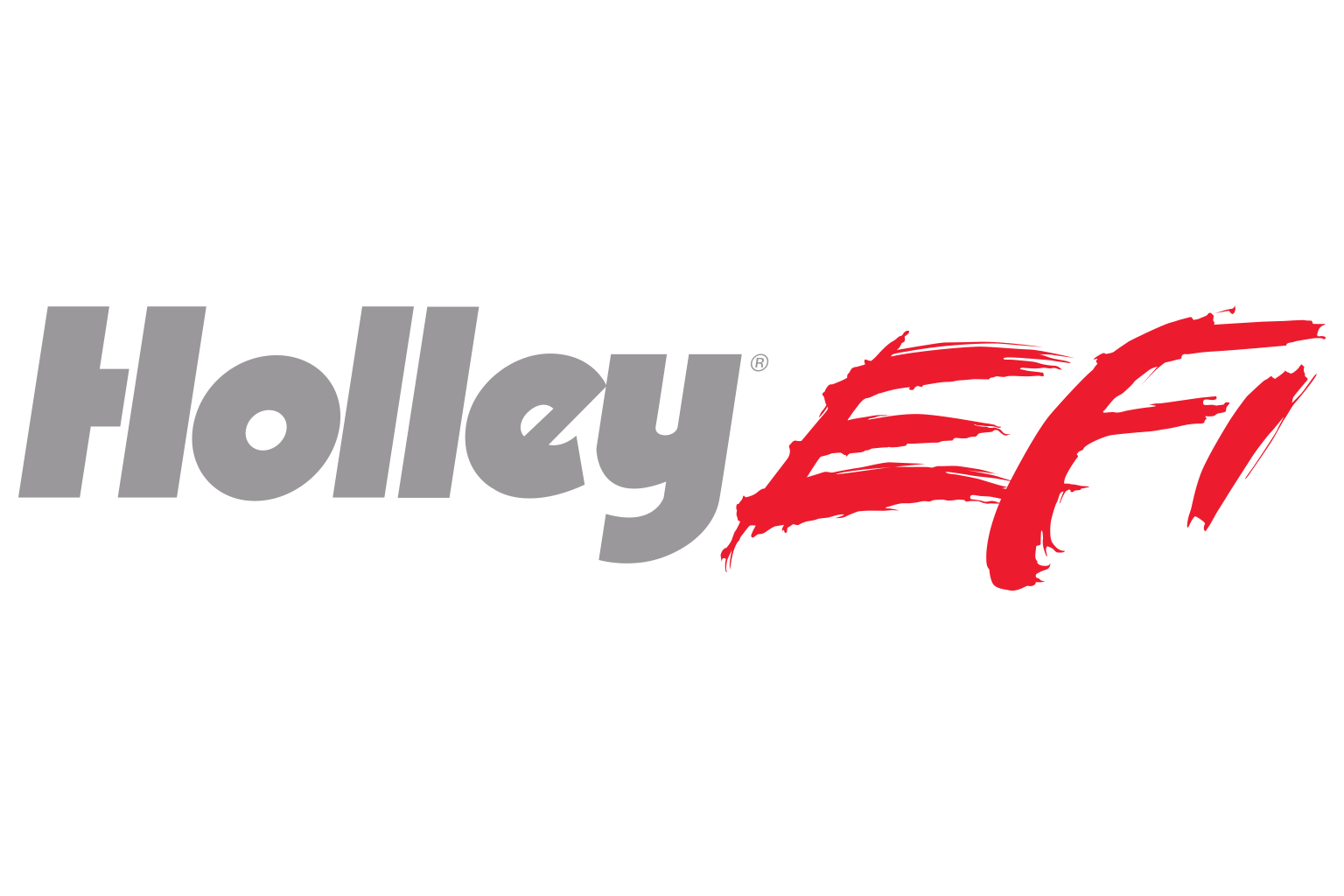 Holley EFI