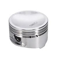 Manley 494220-1