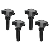 MSD Performance 825974