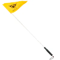 Oracle Lighting 5781-333