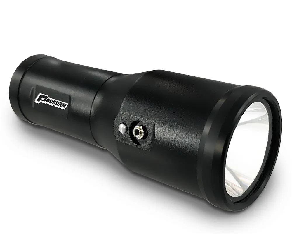 PROFORM 67419