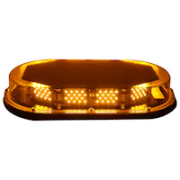 Race Sport Lighting RS-CA-MINILEDFLM