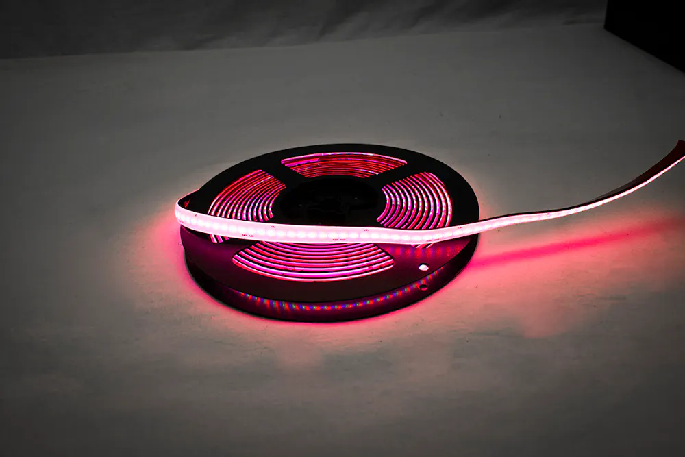 Race Sport Lighting RS5MVS65RGB