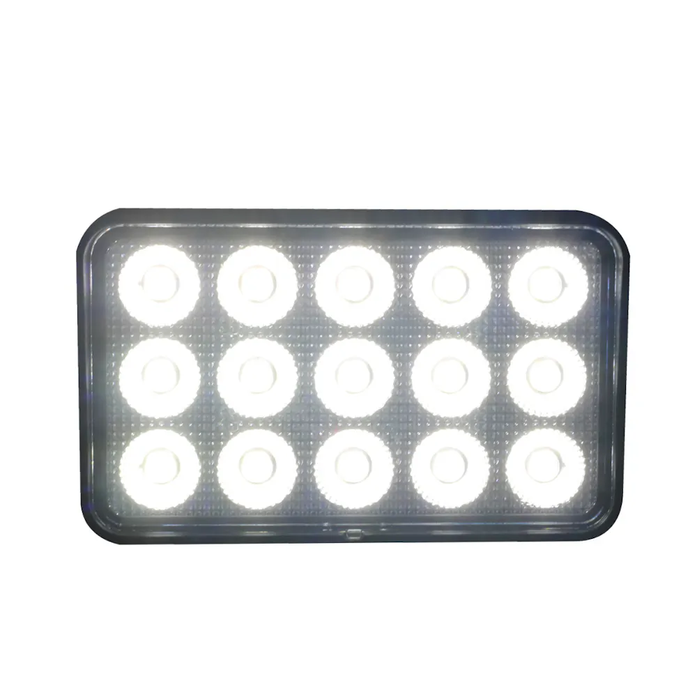 Race Sport Lighting RS6IQ60W