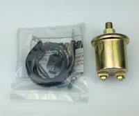 Racepak 810-PT-0100SD
