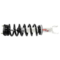 Rancho RS551847