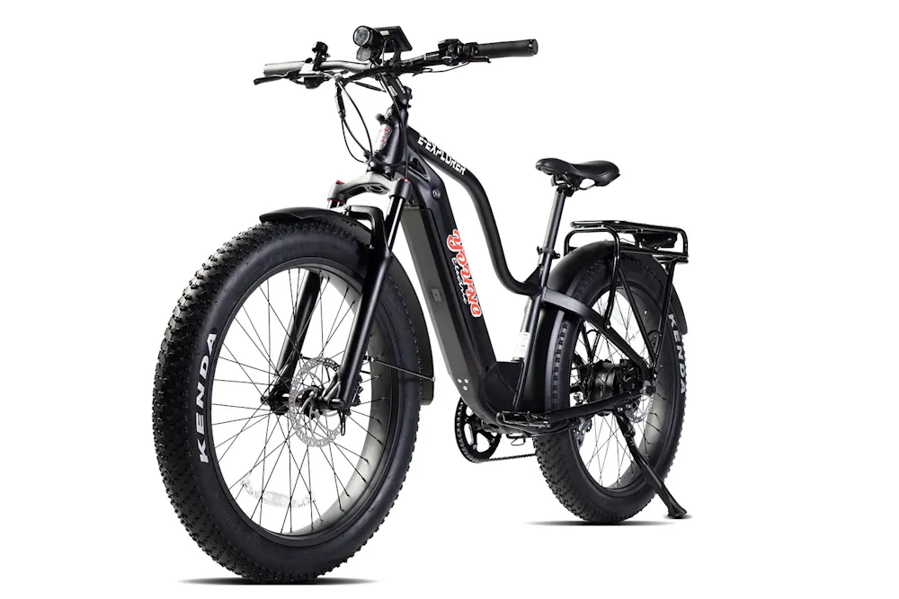 Young Electric 12803003SFBLK