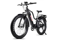 Young Electric 12803003SFBLK
