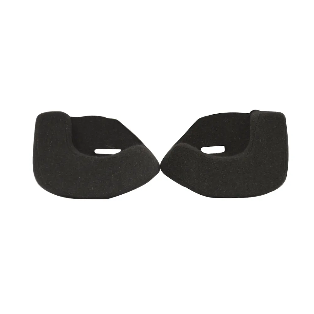 ZAMP Racing HALCP21M