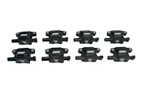 FAST - Fuel Air Spark Technology 30385-8