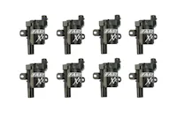FAST - Fuel Air Spark Technology 30387-8