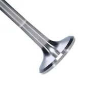 Manley 11447T-1