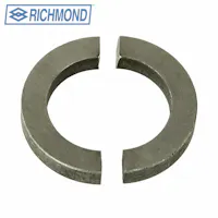 Richmond 8071400