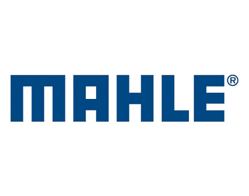 Mahle Motorsports