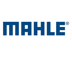 Mahle Motorsports
