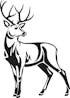 Sporting Goods