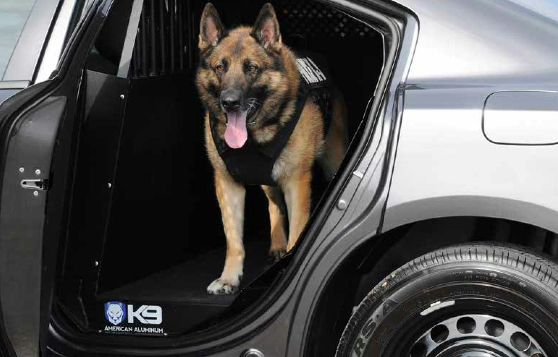 Public Safety > K9 Transport
