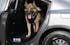 Public Safety > K9 Transport